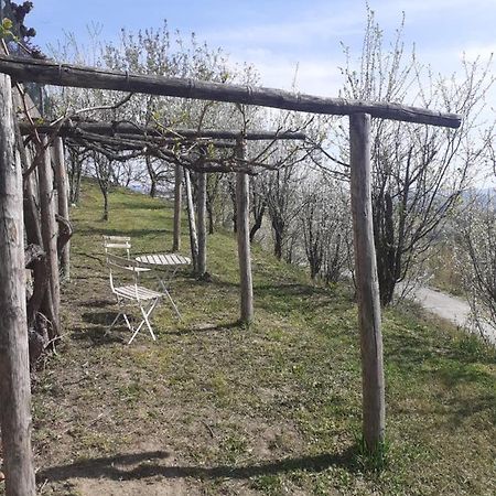 Casa Nebieu In Edificio Indipendente Nel Centro Di Monforte Monforte dʼAlba Exteriér fotografie
